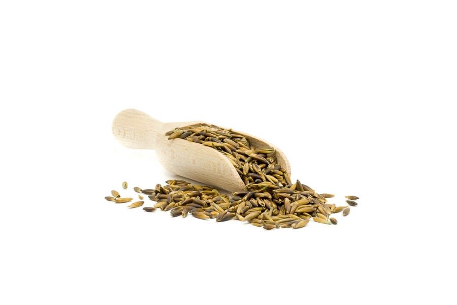 Hafer schwarz - 1 Palette - 500kg (BigBag) - versandkostenfrei