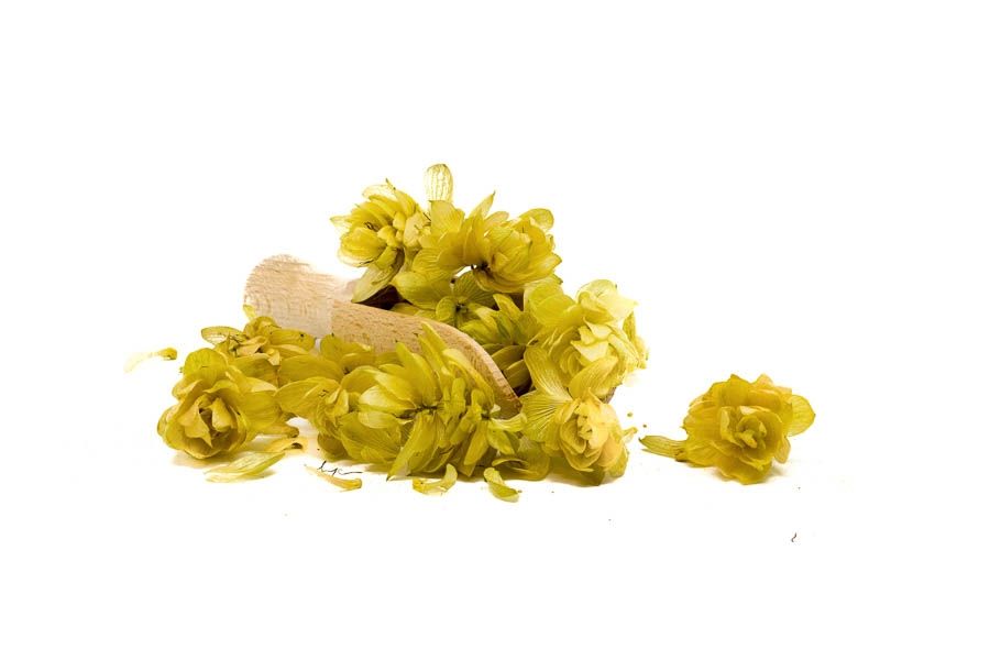 Hopfenblüten - geschnitten