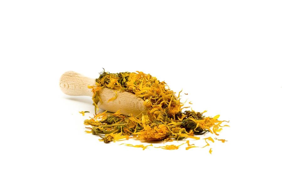 Ringelblumenblüte - ganz