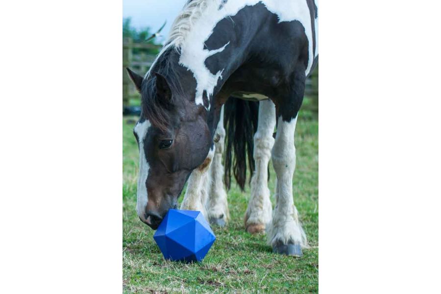 Red Gorilla - Futterball Dripfeed - pink